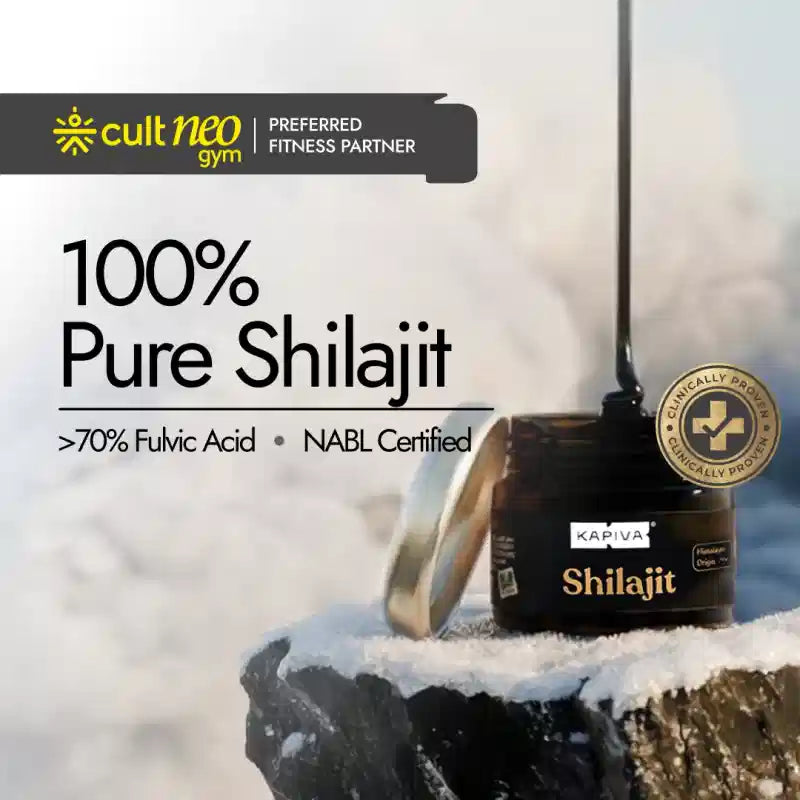 Himalayan Shilajit Resin